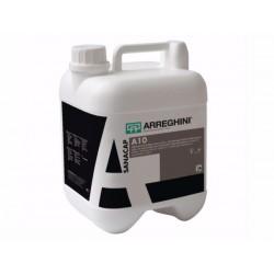 Sanacap A10 additivo antimuffa/anti alga per interno lt 5
